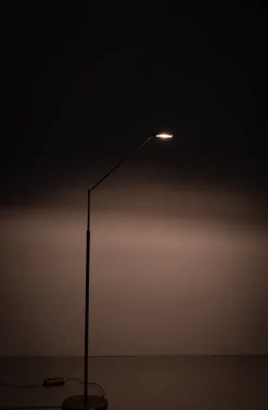 Sale Pamono Adjustable Bronze Halogen Floor Lamp by Ben Demmers, 1980s