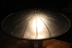 Best Pamono Agaricon Touch Switch Table Lamp by Ross Lovegrove for Luceplan, 2001