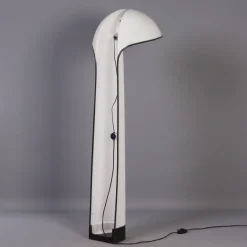 Best Pamono Alba Floor Lamp by Sergio Brazzoli & Ermanno Lamp for Guzzini, 1970s