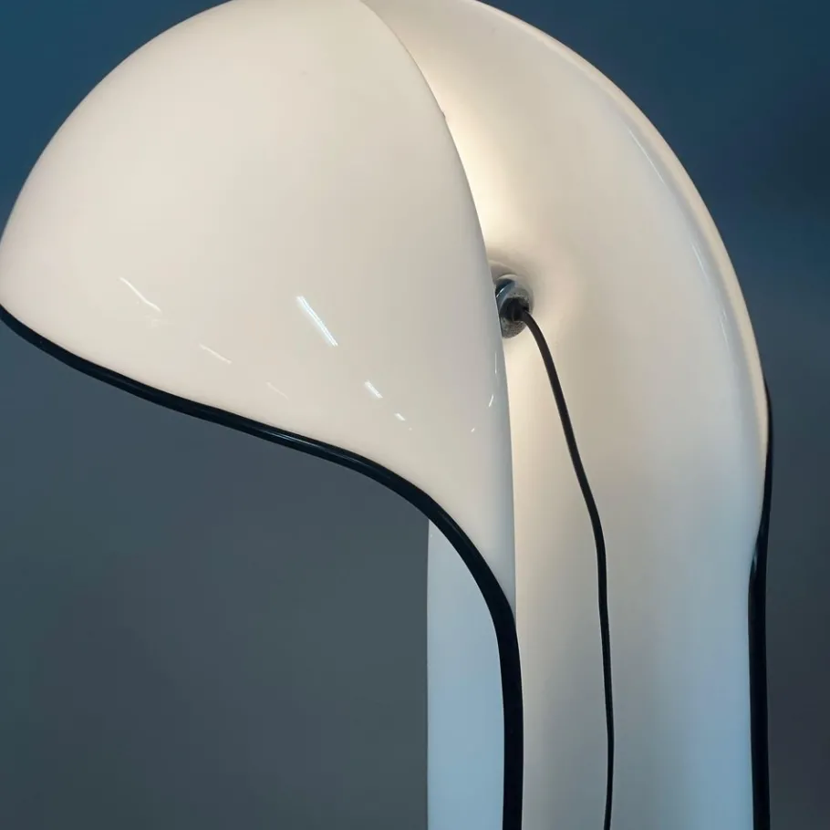 Best Pamono Alba Floor Lamp by Sergio Brazzoli & Ermanno Lamp for Guzzini, 1970s