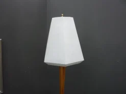 Best Pamono Anthroposophical Floor Lamp by Felix Kayser, 1950s