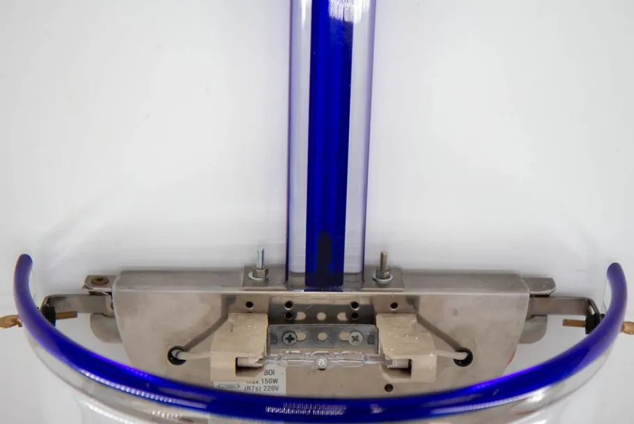 Best Pamono Appleboi Model Wall Lamp by Venini, 1997