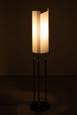 Hot Pamono Arianna Floor Lamp by Bruno Gecchelin for Oluce