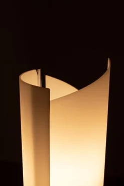 Hot Pamono Arianna Floor Lamp by Bruno Gecchelin for Oluce