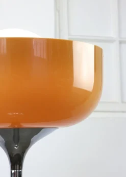 Pamono Big Brown Floor Lamp by Luigi Massoni for Guzzini, 1970s