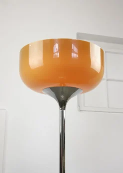 Pamono Big Brown Floor Lamp by Luigi Massoni for Guzzini, 1970s