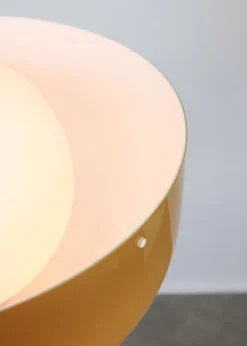 Pamono Big Brown Floor Lamp by Luigi Massoni for Guzzini, 1970s