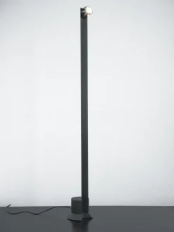 Pamono Colibri Floor Lamp by Franco Albini for Sirrah, 1980
