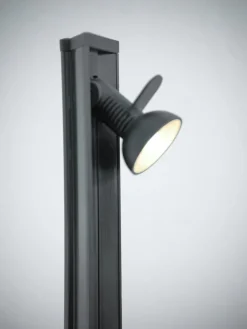 Pamono Colibri Floor Lamp by Franco Albini for Sirrah, 1980