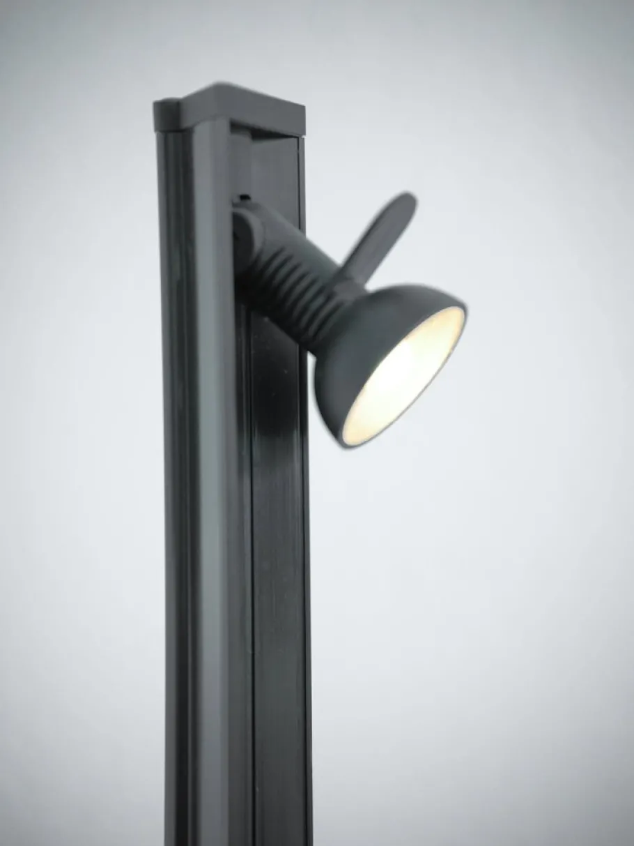 Pamono Colibri Floor Lamp by Franco Albini for Sirrah, 1980