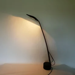 Clearance Pamono Dove Desk Lamp by M. Barbaglia & M. Colombo for Paf Studio, Italy, 1980s