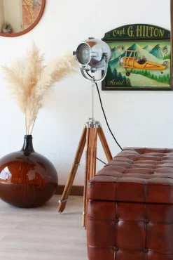 Hot Pamono Egg Shape Theater Spotlight by Morgan McLleod, 1950s