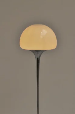 Pamono Floor Lamp by Goffredo Reggiani for Reggiani