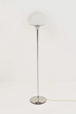 Pamono Floor Lamp by Goffredo Reggiani for Reggiani