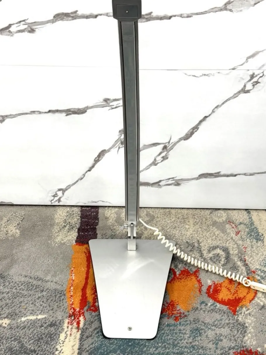 Hot Pamono Floor Lamp in Steel by Goffredo Reggiani for Reggiani, 1970