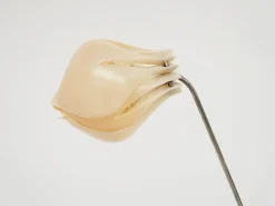 Online Pamono German Adjustable Mod SY1 Flower Floor Lamp by Gunter Symmank for Integra, 1960s