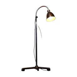 Clearance Pamono German Bauhaus Modern Floor Lamp by Christian Dell for Bünte & Remmler (BuR), 1930s, Flexible Reading Lamp