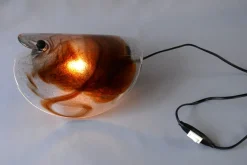 Best Pamono Glass Sconce by Per Lutken for Holmegaard, 1972