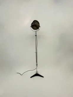Pamono Globe Floor Lamp by Frank Ligtelijn for Raak, 1960s