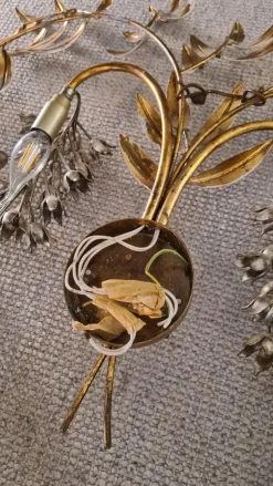 Best Pamono Glycin Wall Light by Hans Kögl