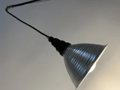 Best Pamono Grasl Vulgaris Table Lamp by Jan Roth for Ingo Maurer, Germany, 1973