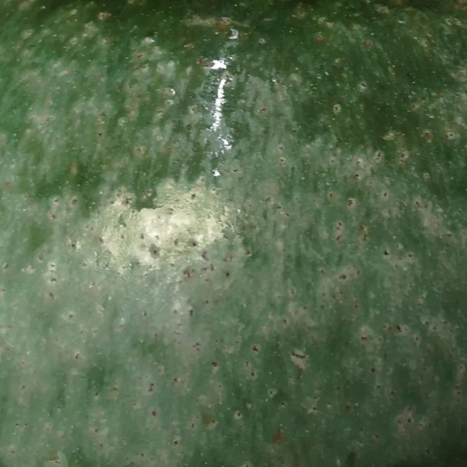 Pamono Green Ceramic Floor Lamp from Kaiser with Silk Lampshade, 1960