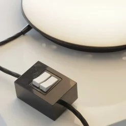 Sale Pamono Large Early 2049 RE Lamp by Bobo Piccoli for Fontana Arte, 1968