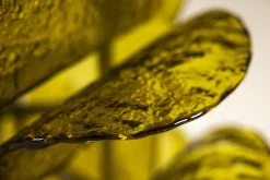 Pamono LT 320 Cactus Floor Lamp in Yellow Murano Glass by Carlo Nason for Mazzega, Italy, 1960s