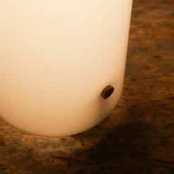 Clearance Pamono Mezza Chimera Lamp by Vico Magistretti for Artemide, Italy, 1969