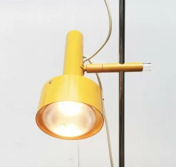 Pamono Mid-Century Floor Lamp by Edi Franz for Swisslamps International, 1960s