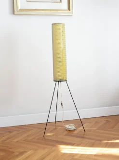 Best Pamono Mid-Century Floor Lamp by Josef Hurka for Napako, 1960