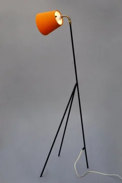 Best Pamono Mid-Century Giraffe Floor Lamp by Ajh, Sweden, 1950s