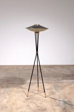 New Pamono Mid-Century Italian Floor Lamp from Stilnovo, 1950s