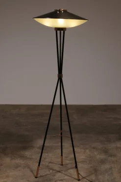New Pamono Mid-Century Italian Floor Lamp from Stilnovo, 1950s