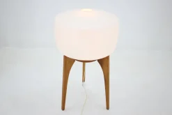 Discount Pamono Mid-Century Lamp from ÚLUV, 1960s