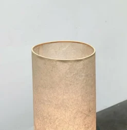 Best Pamono Mid-Century Minimalist Tripod Cocoon Floor Lamp, 1960s