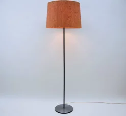 Pamono Mid-Century Modern Floor Lamp, Austria, 1960s