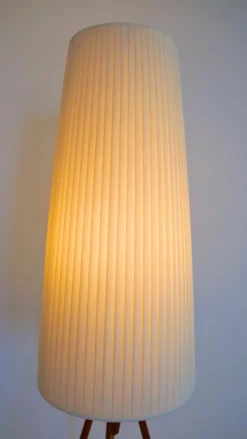 Best Pamono Mid-Century Modern Scandinavian Three-Legged Floor Lamp in Teak, 1960s