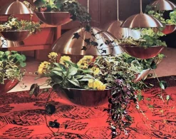 Best Pamono Mid-Century Space Age Danish RS 37 Flower Lamp by Poul Cadovius for Cado, 1960s