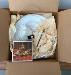 Best Pamono Mid-Century Space Age Danish RS 37 Flower Lamp by Poul Cadovius for Cado, 1960s