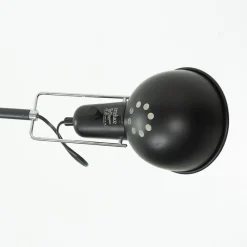 Best Pamono Model 265 Wall Lamp by Paolo Rizzatto for Arteluce, 1970s