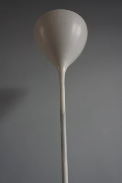 Discount Pamono Model BTI Floor Lamp from B.A.G. Turgi