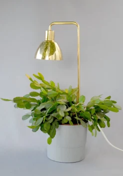 Clearance Pamono Model G98 Flower Lamp by Hans-Agne Jakobsson for HAJ Markaryd, 1960s