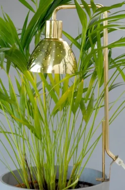 Clearance Pamono Model G98 Flower Lamp by Hans-Agne Jakobsson for HAJ Markaryd, 1960s