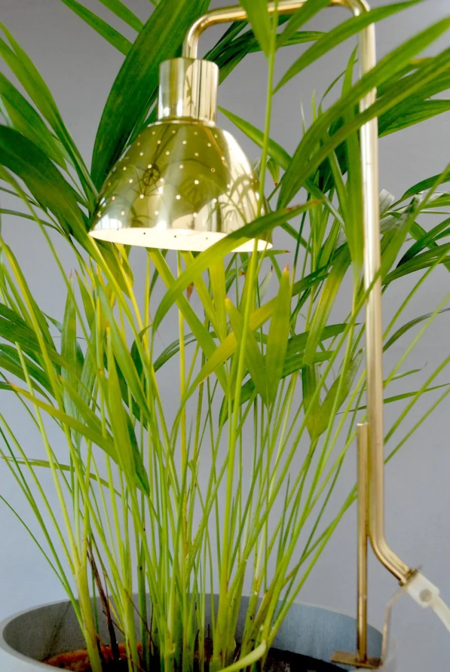 Clearance Pamono Model G98 Flower Lamp by Hans-Agne Jakobsson for HAJ Markaryd, 1960s