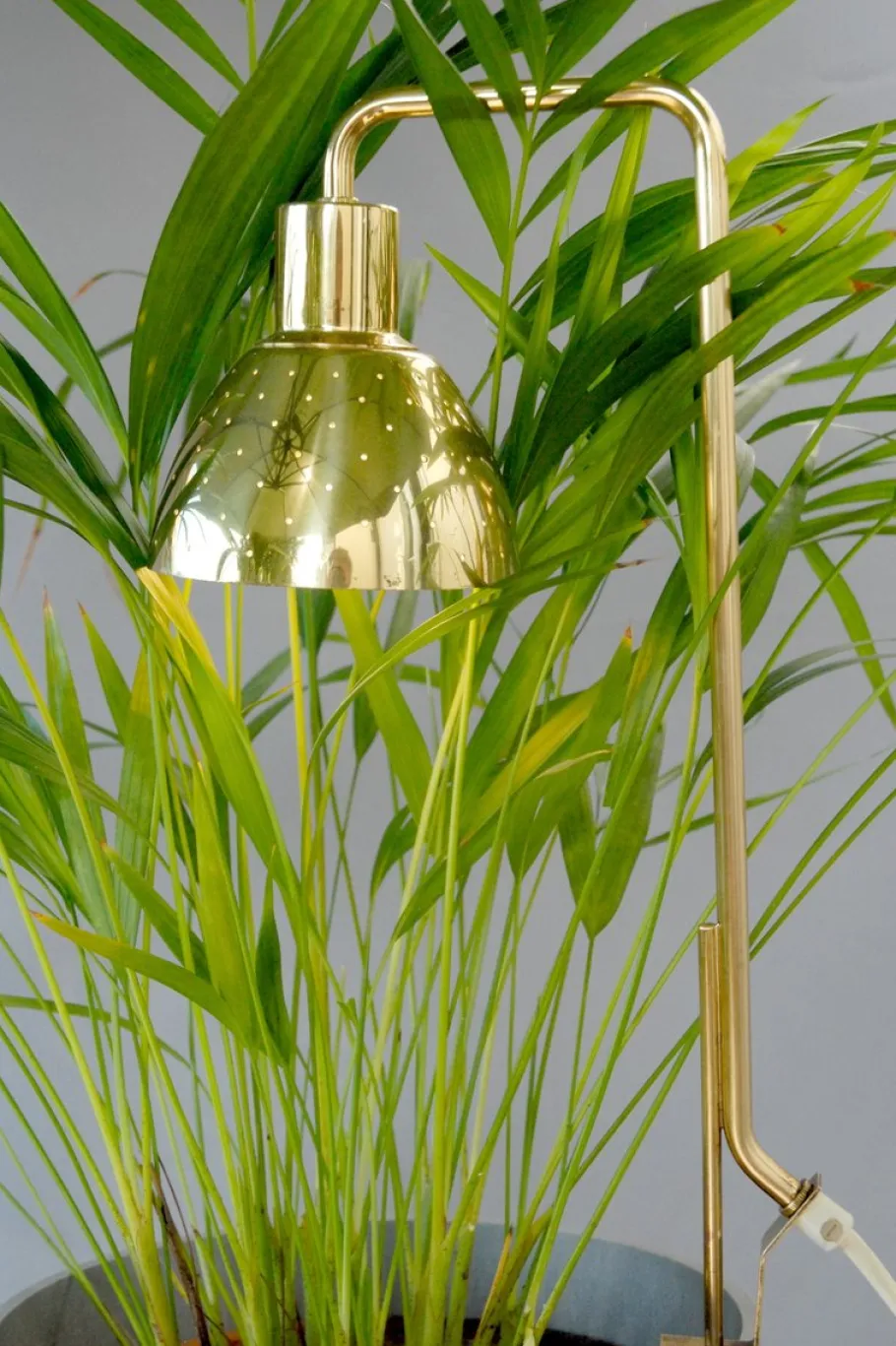 Clearance Pamono Model G98 Flower Lamp by Hans-Agne Jakobsson for HAJ Markaryd, 1960s