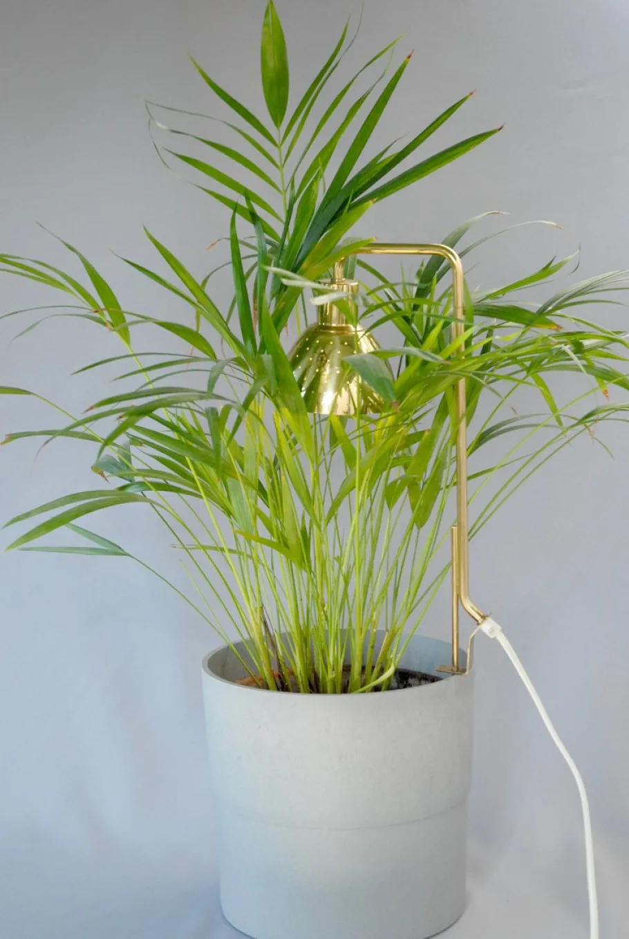 Clearance Pamono Model G98 Flower Lamp by Hans-Agne Jakobsson for HAJ Markaryd, 1960s