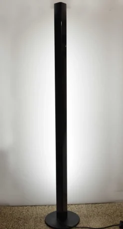Pamono Model Rio Floor Lamp by Rodolfo Bonetto for Luci Neon