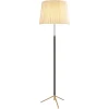 Online Pamono Natural and Brass Pie de Salón G1 Floor Lamp by Jaume Sans