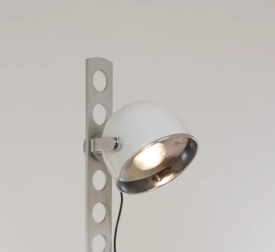 Pamono No. 190 Floor Lamp by Erio Bosi for Fratelli Martini, 1970s
